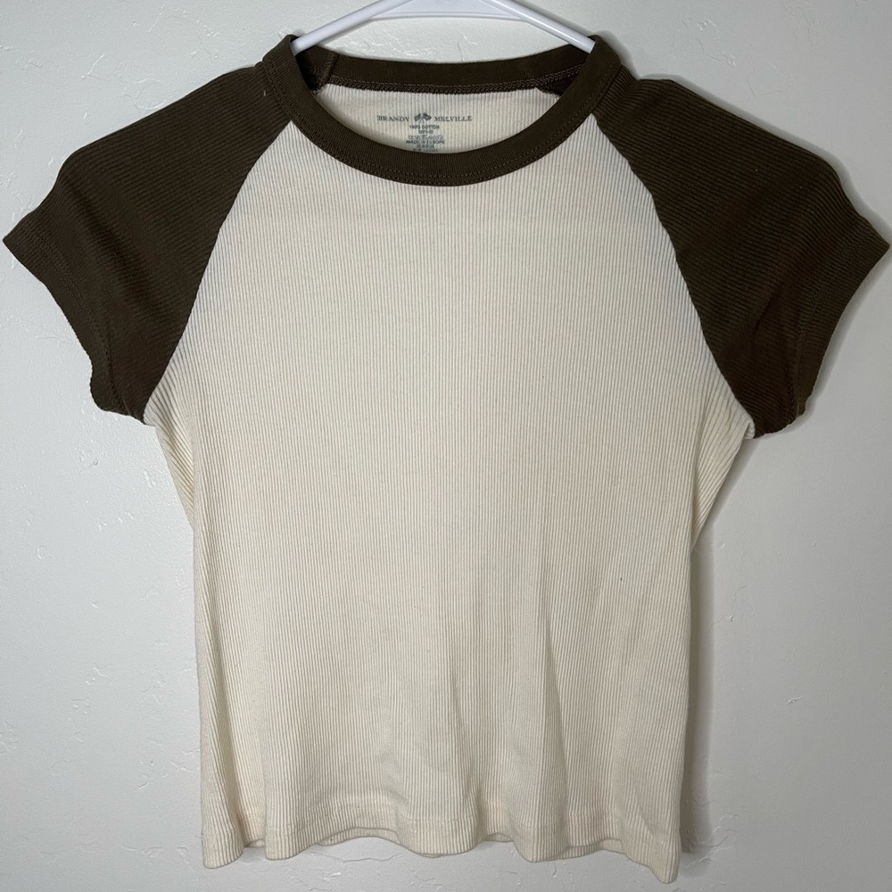 Brandy Melville Crop Top